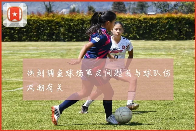 热刺调查球场草皮问题或与球队伤病潮有关