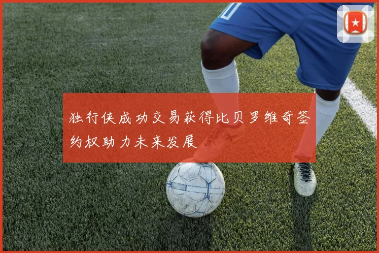 独行侠成功交易获得比贝罗维奇签约权助力未来发展